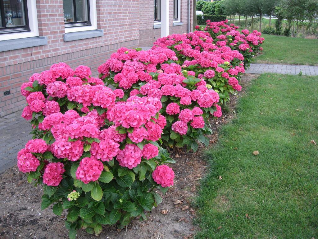 B&B Oostzomerland Mijnsheerenland Exterior photo
