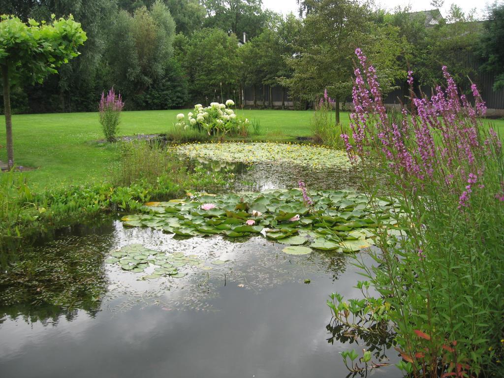 B&B Oostzomerland Mijnsheerenland Exterior photo